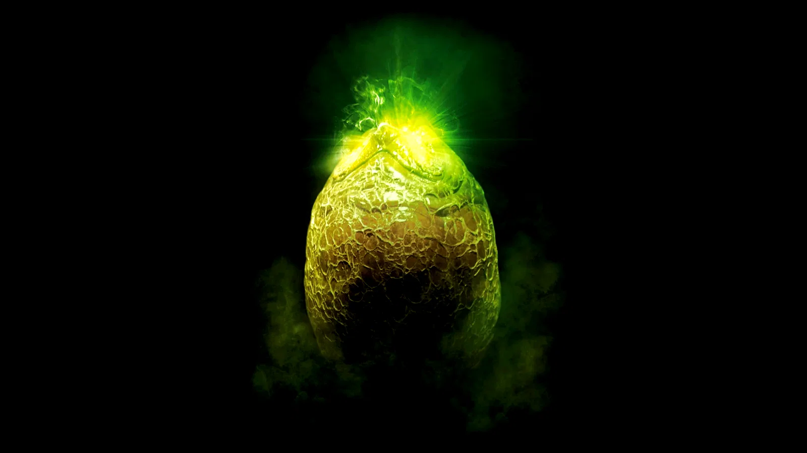 Photo 12 du film : Le passager