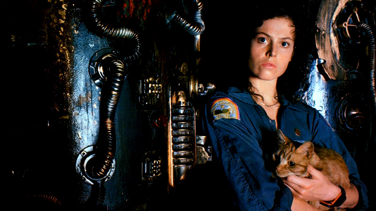 Photo 27 du film : Le passager