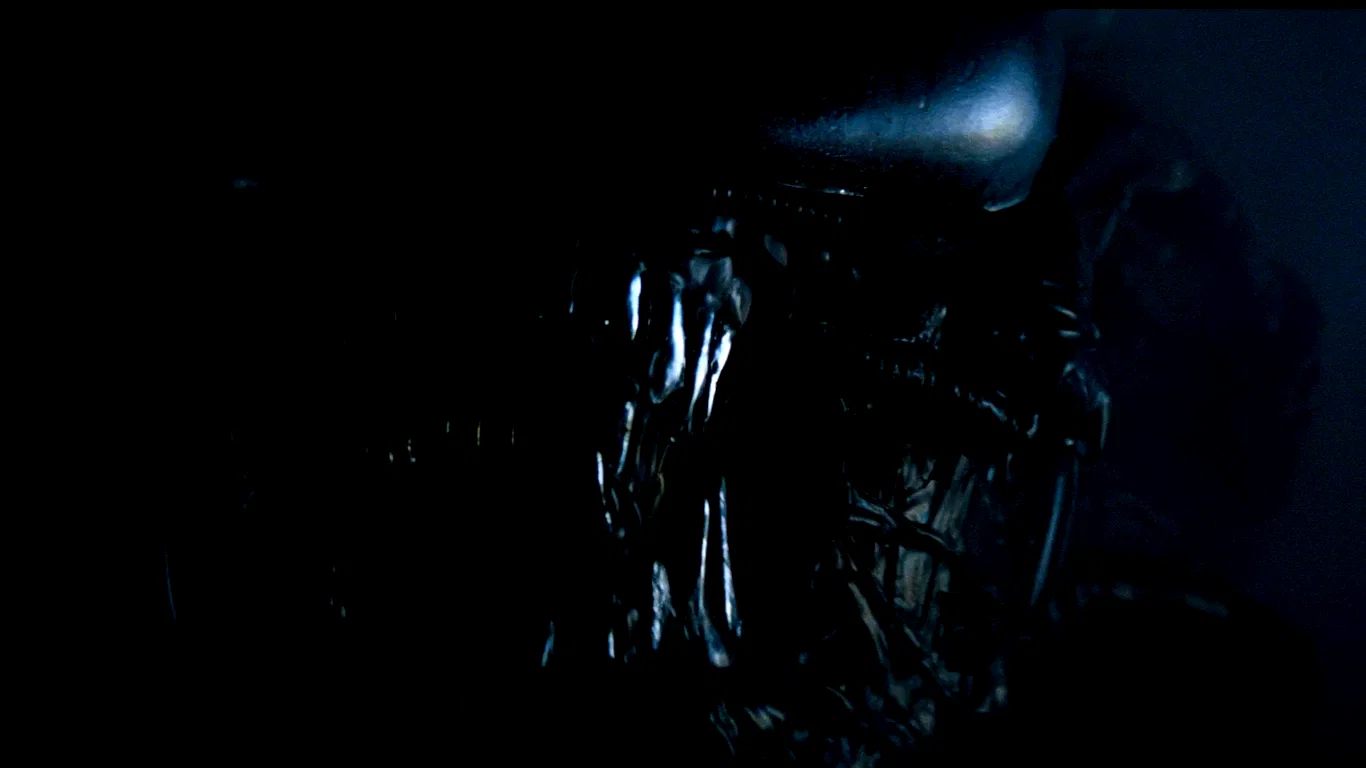 Photo 32 du film : Le passager