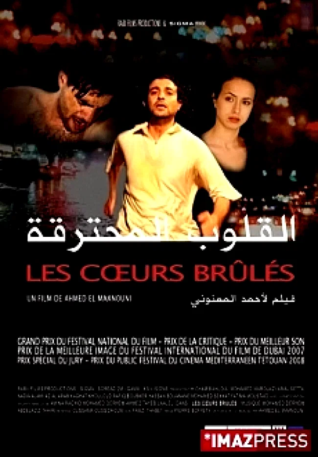 Affiche du film : Les brules