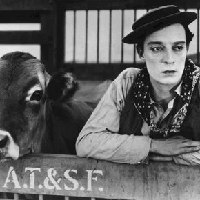 Photo du film : La vache