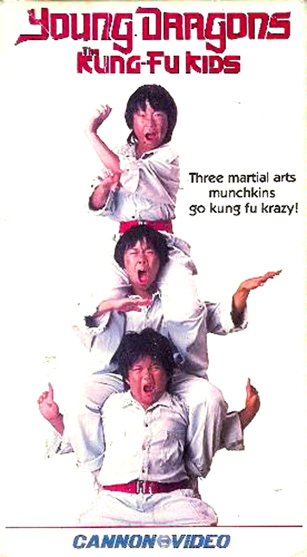 Affiche du film : Kung fu kids