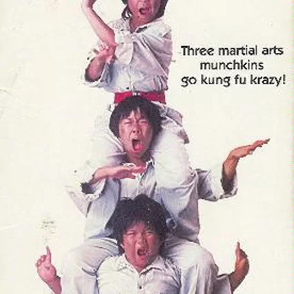 Miniature photo du film : Kung fu kids
