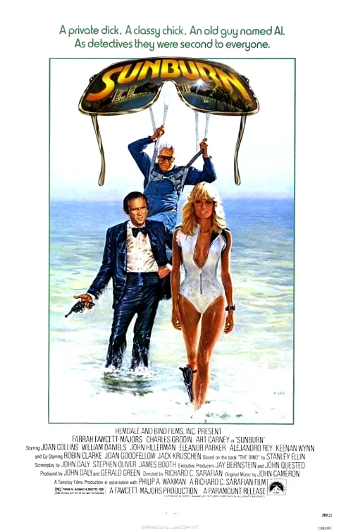 Affiche du film : Sunburn