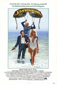 Affiche du film Sunburn