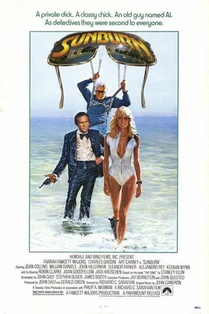 Affiche du film : Sunburn