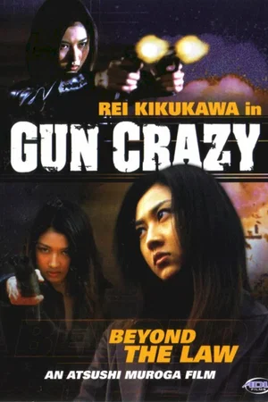 Affiche du film : Gun law