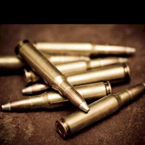 Photo du film : Gun law