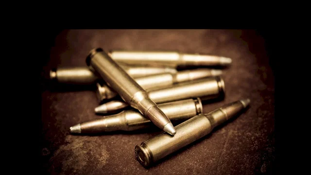 Photo 2 du film : Gun law