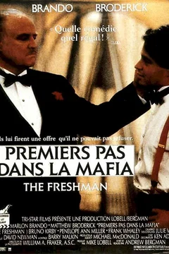 Affiche du film Premiers pas