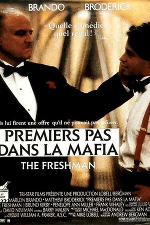 Affiche du film : Premiers pas