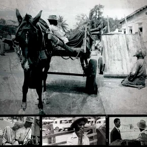 Photo du film : Borom sarret
