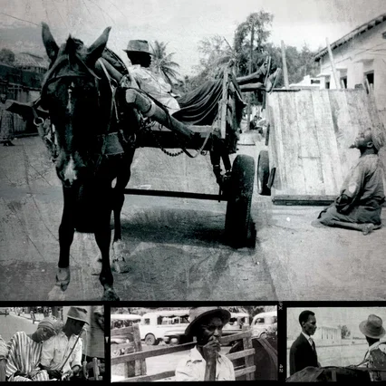 Miniature photo du film : Borom sarret