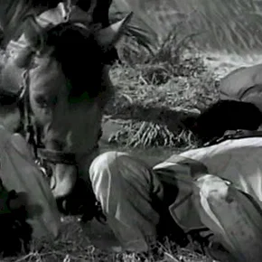 Photo du film : La patrouille perdue