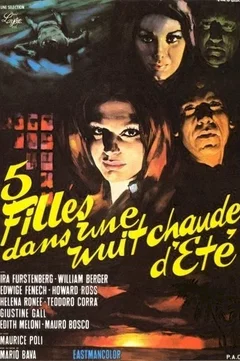 Affiche du film Une nuit chaude