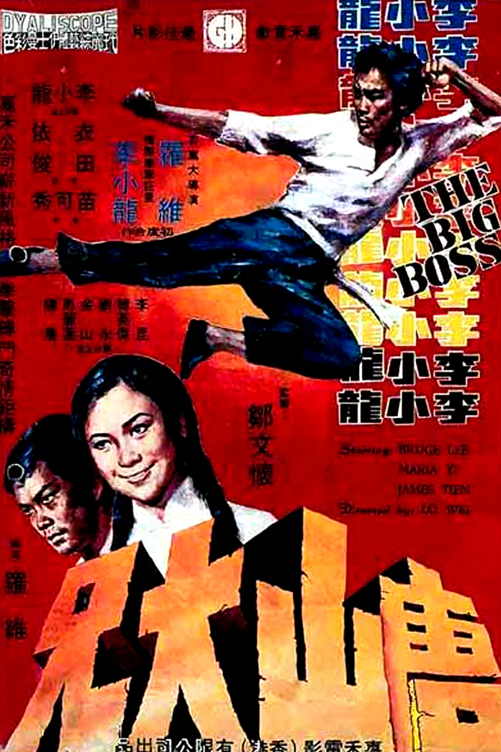 Affiche du film : Big boss