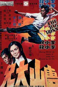Affiche du film Big boss