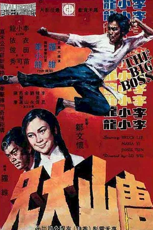 Affiche du film : Big boss