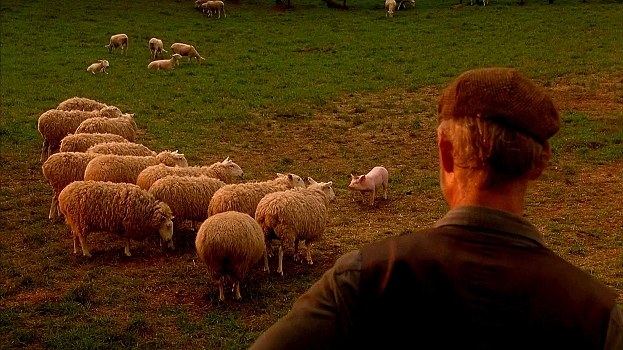 Photo du film : Le berger