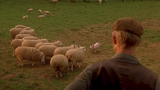 Photo 2 du film : Le berger