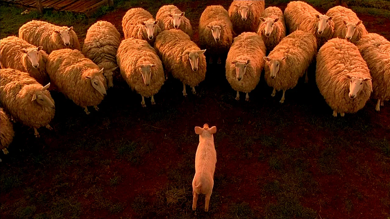 Photo du film : Le berger