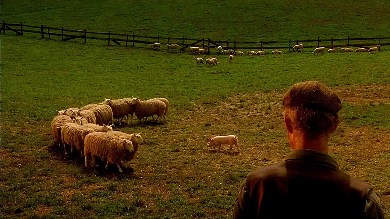 Photo du film : Le berger
