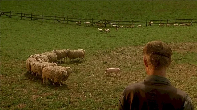 Photo 7 du film : Le berger