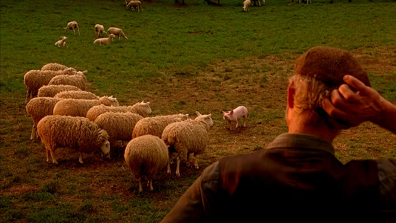 Photo du film : Le berger