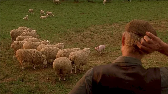 Photo 8 du film : Le berger