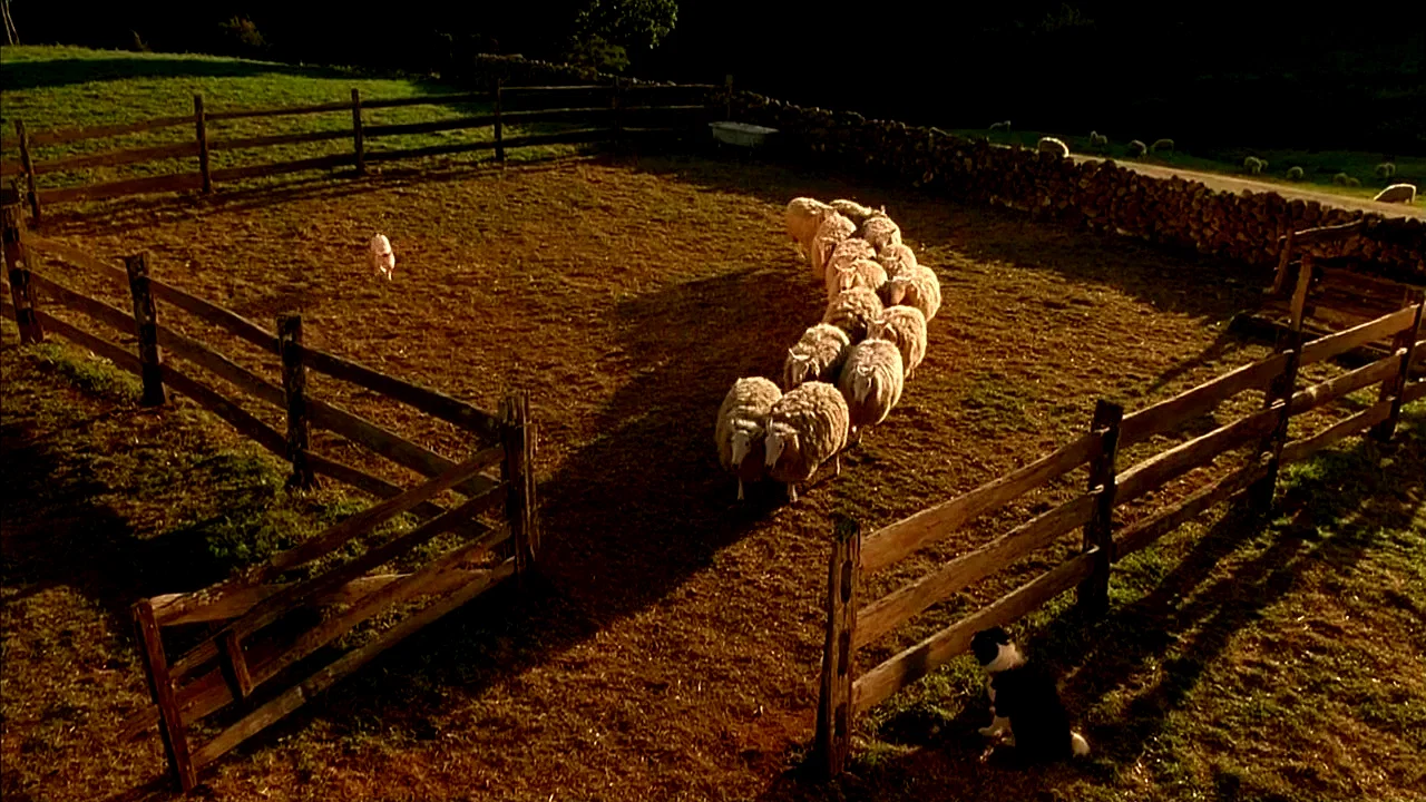 Photo du film : Le berger