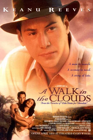 Affiche du film : Vendanges