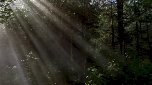 Photo 5 du film : La forteresse