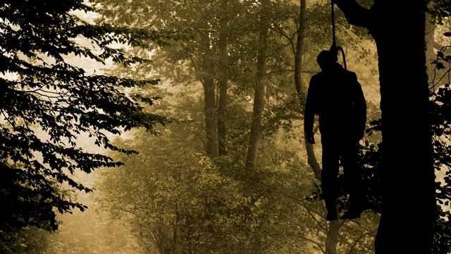 Photo du film : Les agneaux