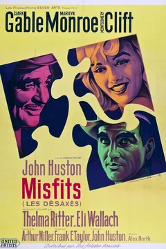 Affiche du film Les desaxes