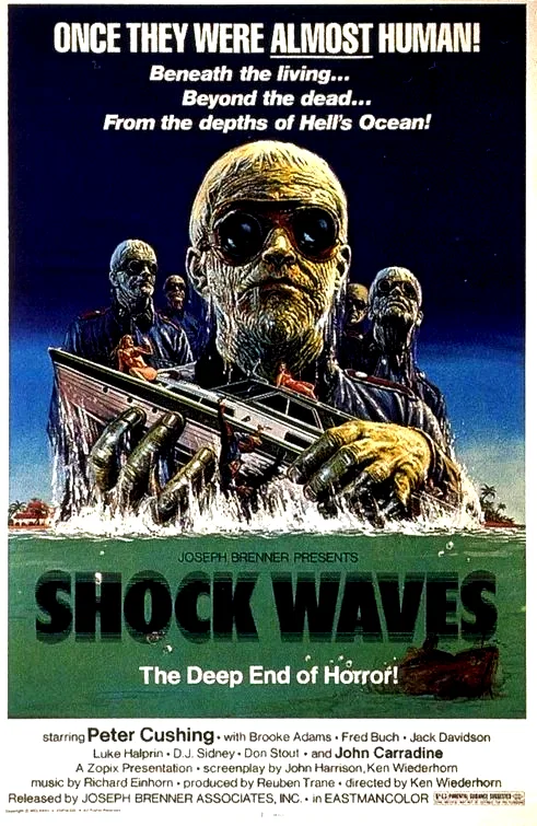 Affiche du film : Le commando des morts vivants