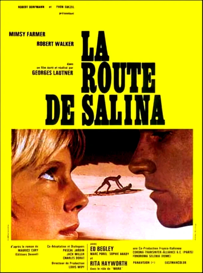 Affiche du film : La route de Salina