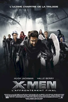 Affiche du film L'affrontement