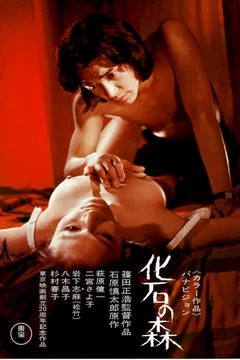 Affiche du film Kaseki