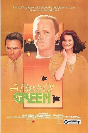 Affiche du film : A flash of green