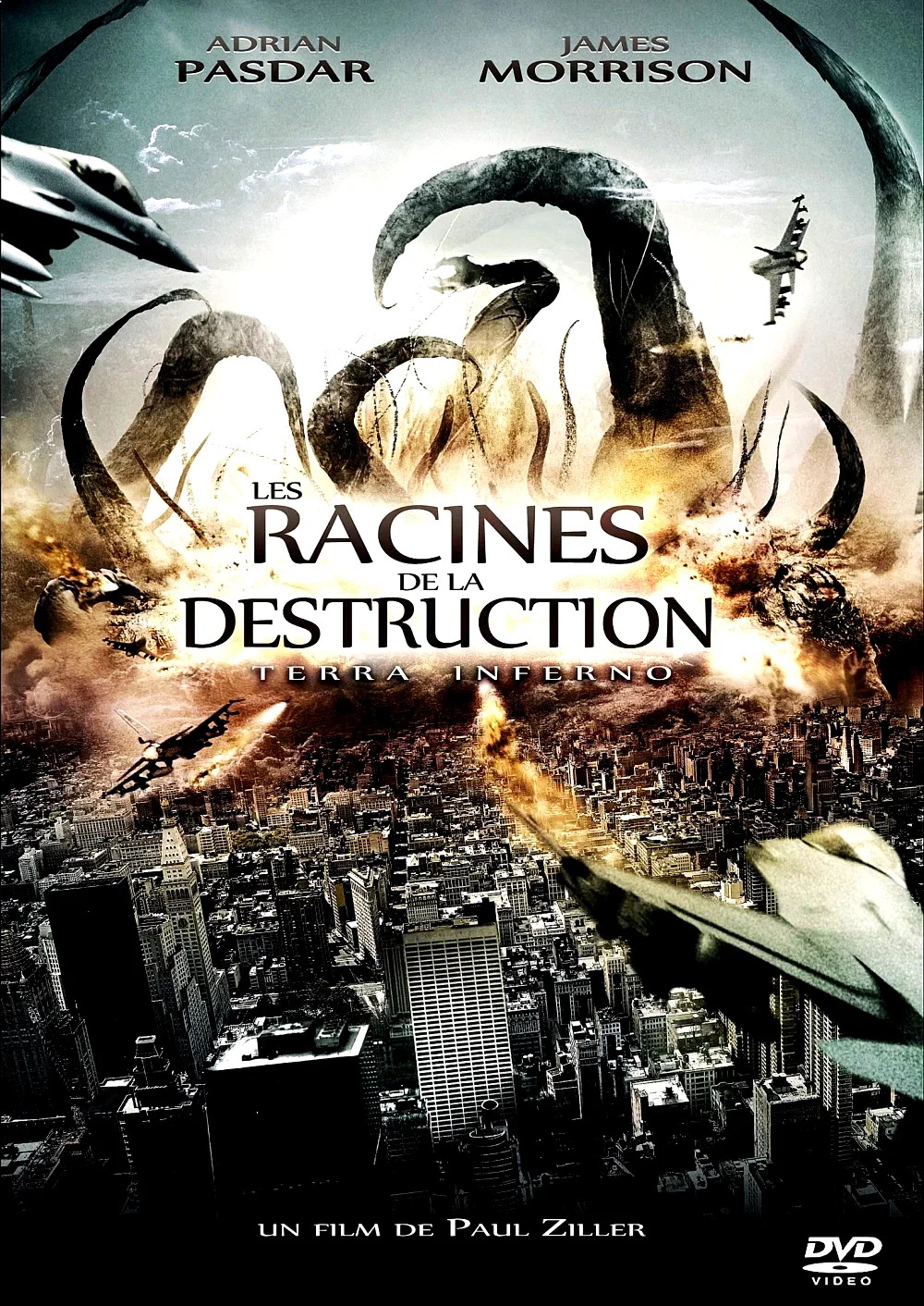 Affiche du film : Racines