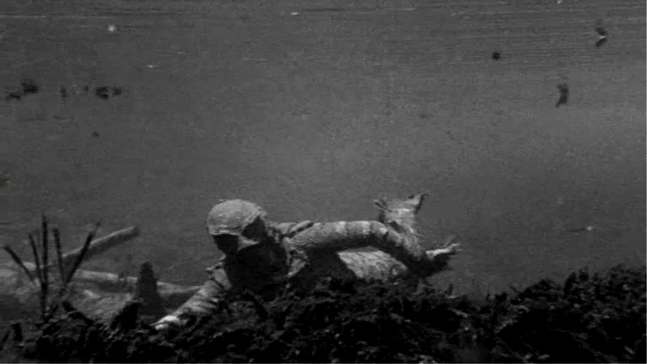 Photo 2 du film : La revanche de la creature