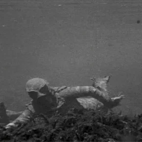 Photo du film : La revanche de la creature