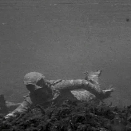 Miniature photo du film : La revanche de la creature