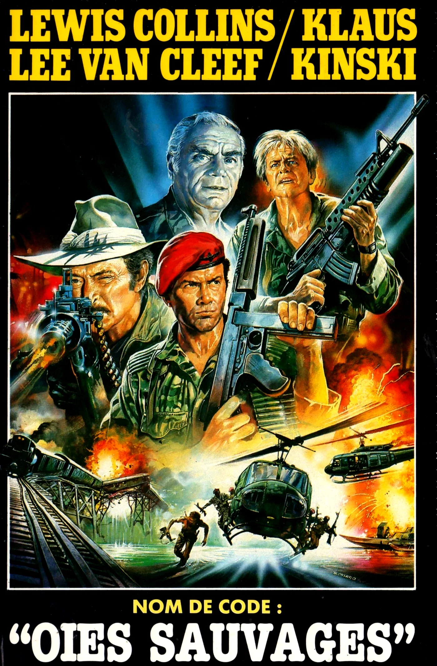 Affiche du film : Nom de code oies sauvages