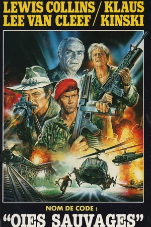Affiche du film : Nom de code oies sauvages