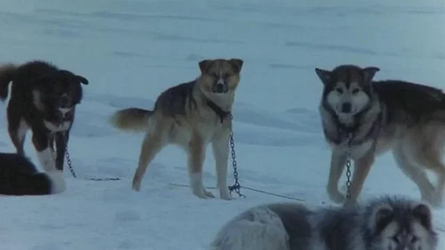 Photo 2 du film : Antarctica