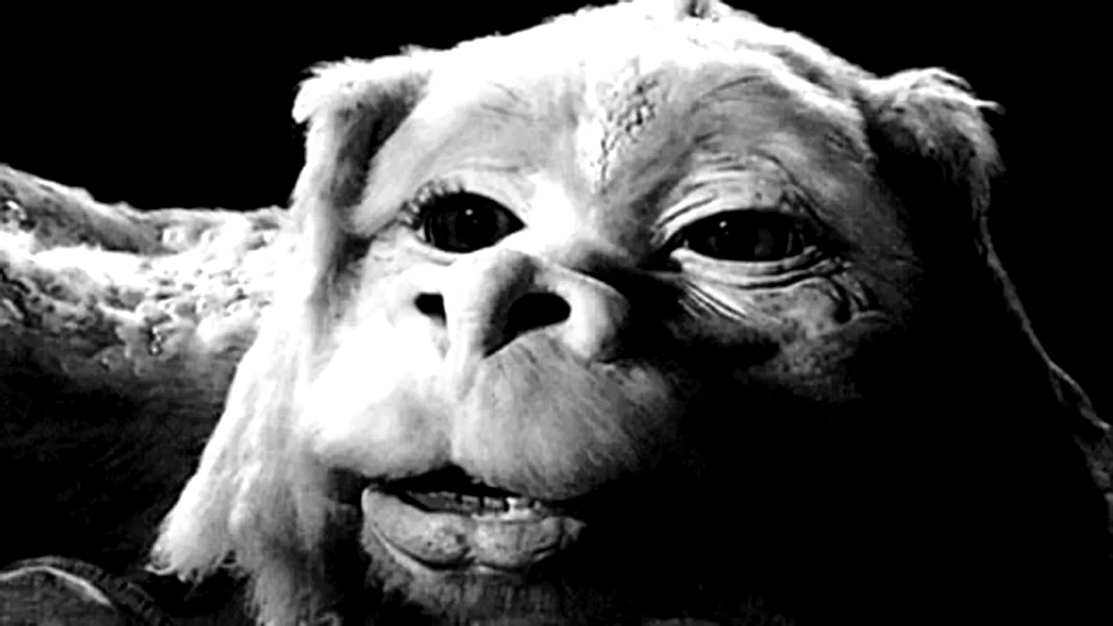 Photo du film : L'Histoire sans fin III : retour a Fantasia