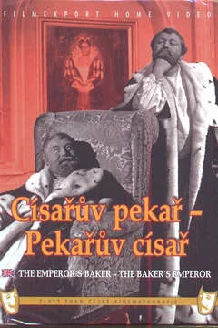 Affiche du film Le Golem