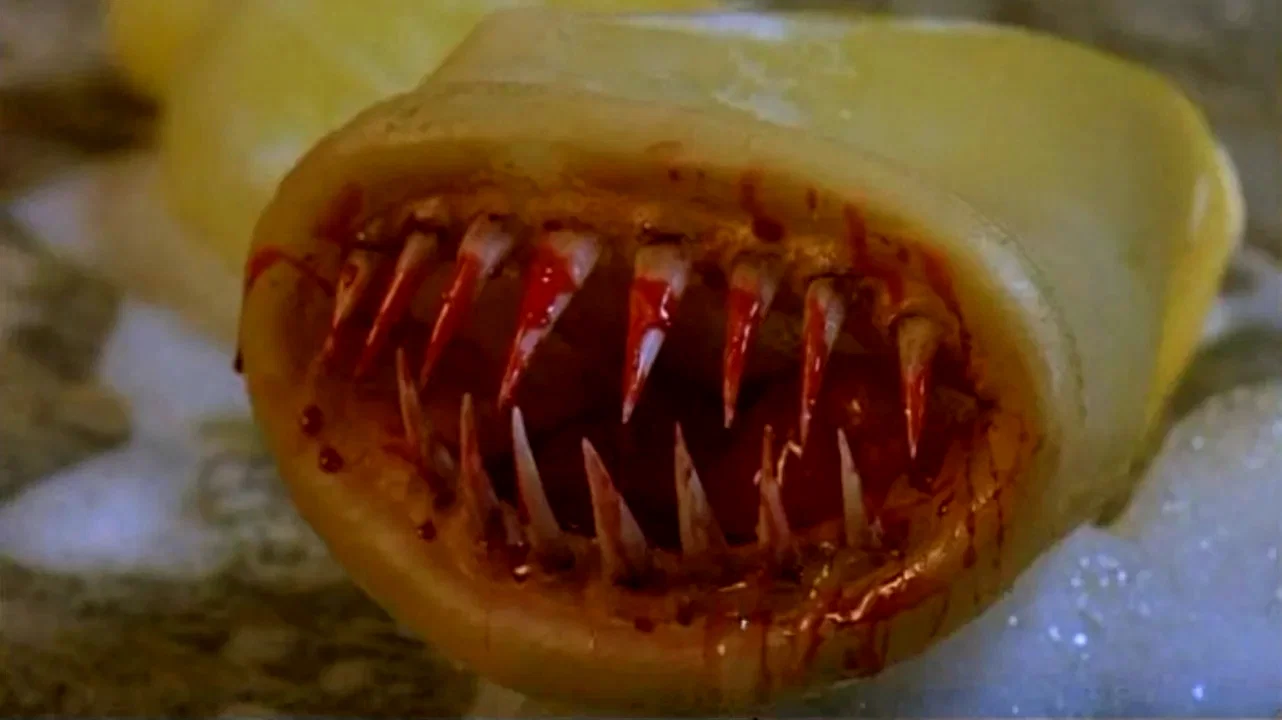 Photo 2 du film : Killer kondom !