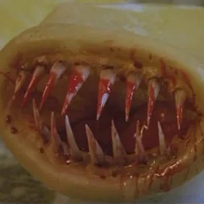 Photo du film : Killer kondom !